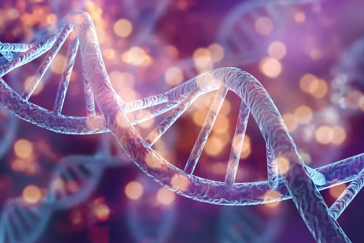 Stem Cell Treatment